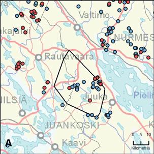 30. Panjan reviiri (PohjoisKarjala) Yksilömääräarvio: 2 Tassuhavainnot Alueen koko 28.9. 31.12. 16 kpl 3 kpl, 3 yks. 1.1.2018 28.2.2018 12 kpl 3 kpl, 3 yks.