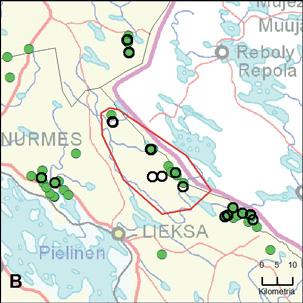 38. Kivivaaran rajareviiri (PohjoisKarjala) Yksilömääräarvio: 4 Tassuhavainnot 7.8. 31.12.