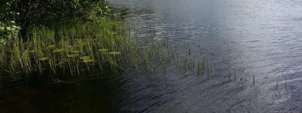 Veden pintalämpötila on vajaat 20 o C (19,52 o C) ja pohjalla viiden asteen tuntumassa (4,99 o C). Näkösyvyys oli 2,8 m ja sameus hyvin vähäistä (n. 0,5 NTU) seitsemään metriin asti.