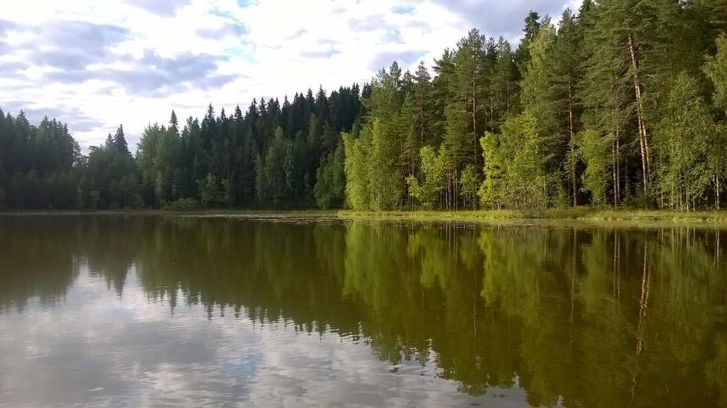 Kahtoilampi aamulla 16.8.2017. Oikealla näkyy neljästä metristä nostetun vesinäytteen leväsamennus.