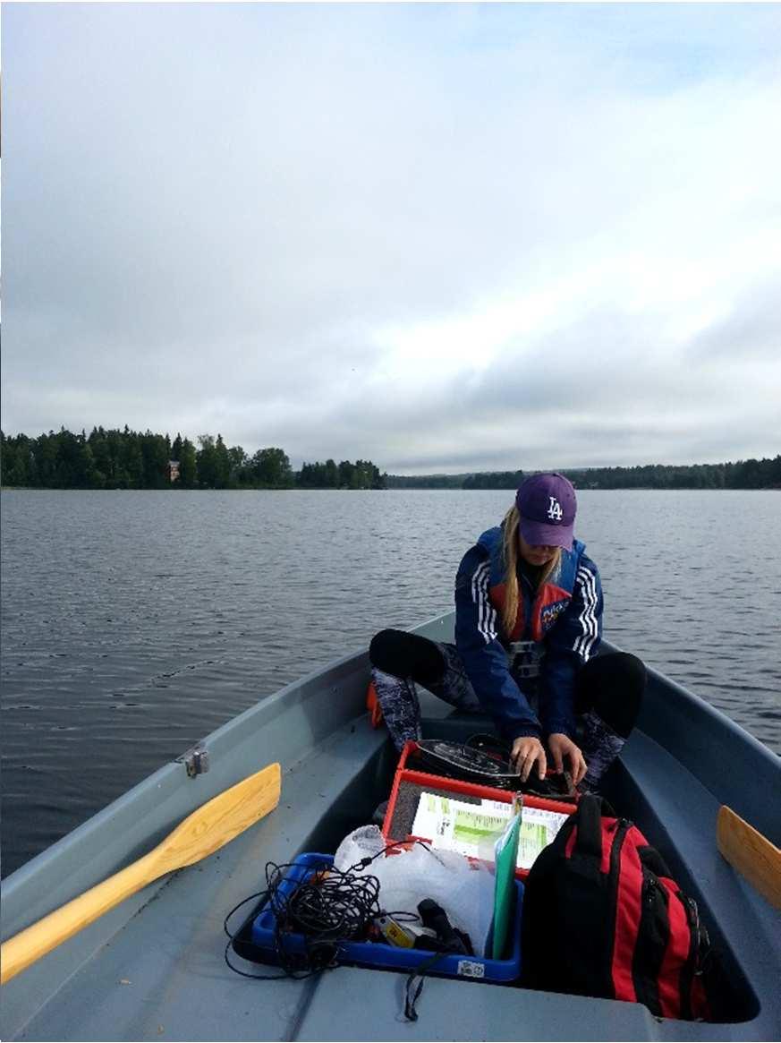 Vanajaveden laakson kulttuurimaisemaan sijoittuva luontaisesti karu Katumajärvi muuttui välillä keskiravinteiseksi ja alusveden kokonaisfosforipitoisuus kohosi melko reheväksi, sillä järven