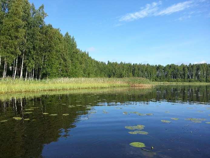 Kyynäröjärven tilaa vuosina 1997 ja 1998 (Huitu & Mäkelä 1999). Tässä tutkimuksessa Kyynäröjärveä tutkittiin 15.8.2017. Kyynäröjärven veden väri oli 15.8.2017 pintavedessä 150 mg/l Pt ja alusvedessä vähän korkeampi (2 m 160 mg/l Pt).