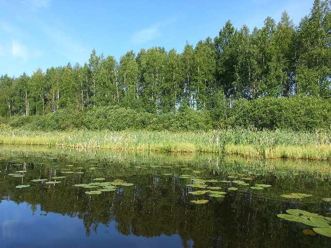 Talvisin näkösyvyys on yleensä vähän suurempi (1 1,1 m). Kyynäröjärven ph on vaihdellut neutraalin molemmin puolin (6,4 7,4), ja 15.8.2017 mitattiin metrissä 6,6.