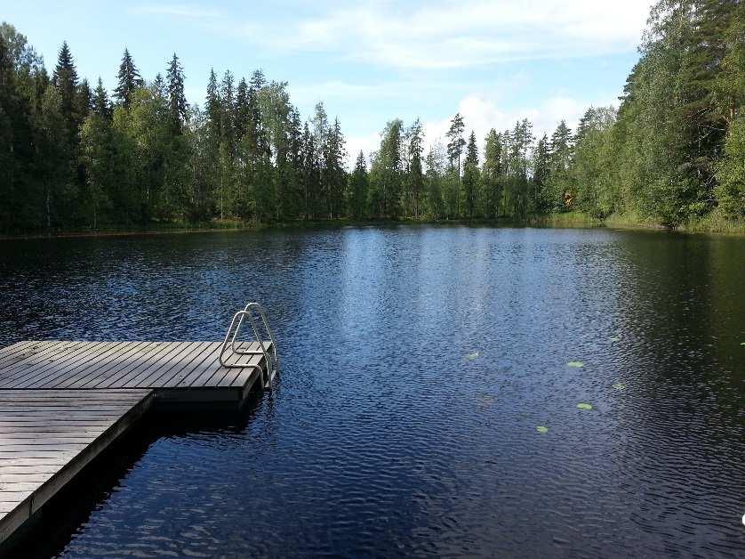 hapettomissa oloissa ravinteiden ja varsinkin fosforin pitoisuudet ovat luonnollisesti selvästi pintaa korkeammat (N tot 700 µg/l; P tot 150 µg/l).