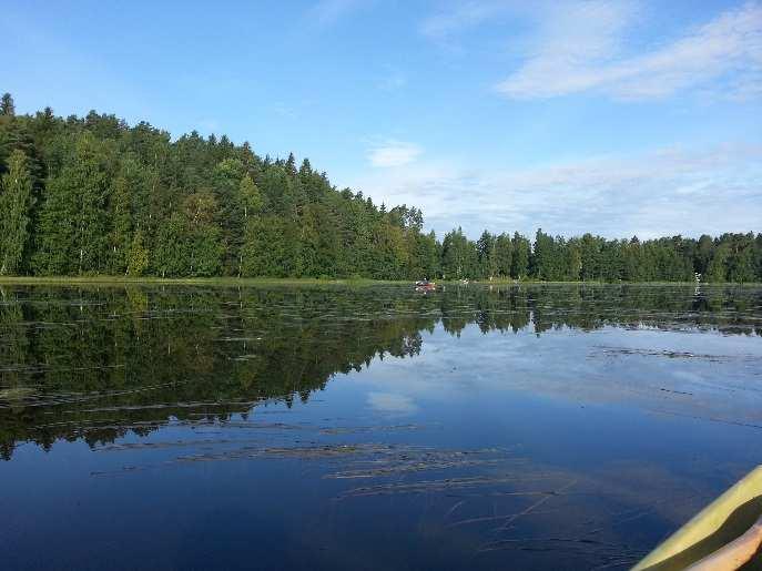 Vasemmalla Suolijärven Pohjoistenlahtea ja oikealla alueella voimakkaasti runsastunut karvalehti (Ceratophyllum demersum). 15