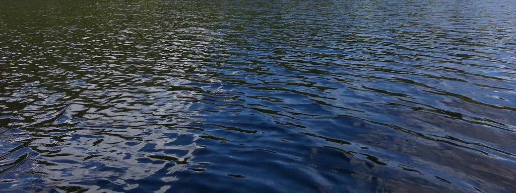 Yhteenveto Hämeenlinnan seudun vesistöjen tilan seurantaohjelman ja PAKKA-hankkeiden mukaisesti tutkittiin kesällä 2015 kahdeksaa järveä ja Ruununmyllyjokea sekä Kankaisten- ja Pannujärven ojia,