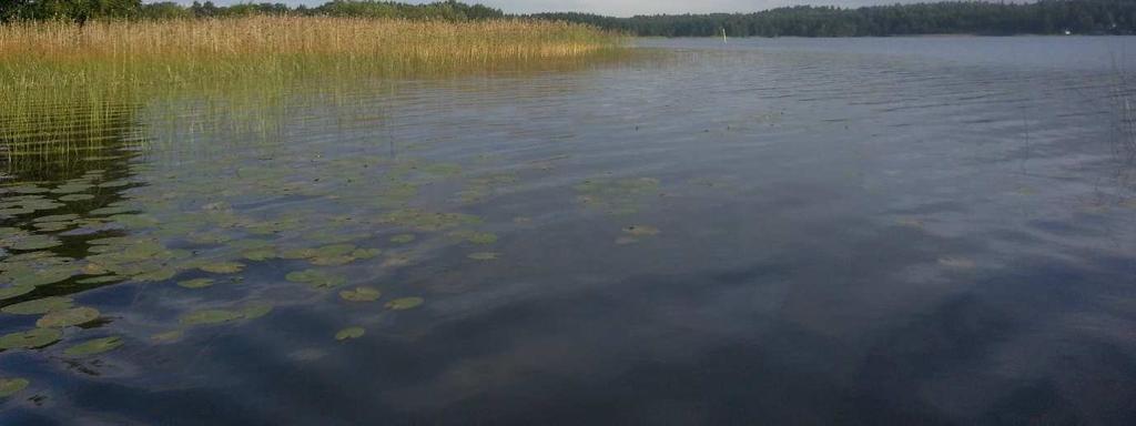 Mäkinen Petri, Ranta Tommi ja Tiainen Mikko 2013: Raportti Kankaistenjärven Nordickoeverkkokalastuksista vuonna 2013. 6 s.