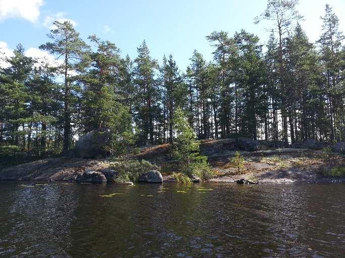 Koska kesällä 2016 ilmeni, että klorofyllianturi ei toiminut, alettiin klorofyllinäytteet ottaa kokoomanäytteenä 0 2 m vesikerroksesta 1000 ml muovipulloon, joka ympäröitiin foliolla klorofyllin