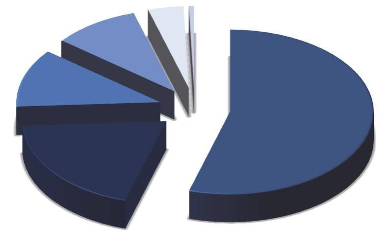 Vos-puheteatterit, Kansallisteatteri 95 Ohjelmisto Kantaesitysten lukumäärä ja osuus ohjelmistossa näytelmälajeittain näytäntökaudella 2016/2017 Number of first premieres and their proportion in