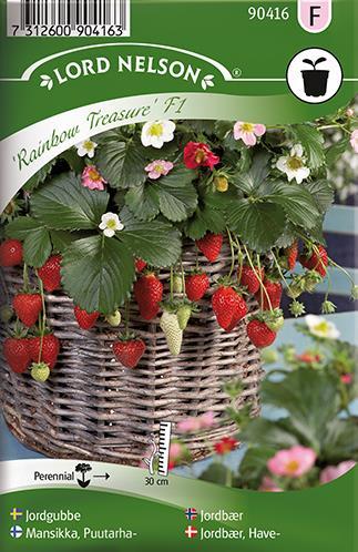 Fragaria x ananassa Goji-marja