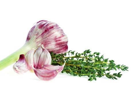Nutritional Forever Garlic-Thyme Valkosipulia ja timjamia on