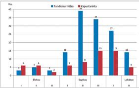 Kemijoen uitto rikastutti Kemin linnustoa Kemijoen uitto rikastutti Kemin linnustoa Kuva 1) Tundrakurmitsojen ja kapustarintojen määriä elo-lokakuussa Kemin Kuivanuorossa Kuva 2) Sirrien määriä