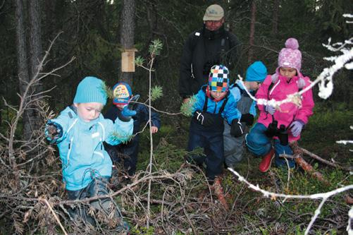 Lasten linturetki Xenuksen pinnaralli Keminmaalaisen Päiväkoti Pikku-Maijan lapset osallistuivat 30.5 5.6.2011 BirdLifen järjestämälle Lasten Lintuviikolle.