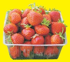 2 kg Mansikkarasia 400 g (4,95/kg) alkuperämaa Hollanti/Espanja, 1 lk.