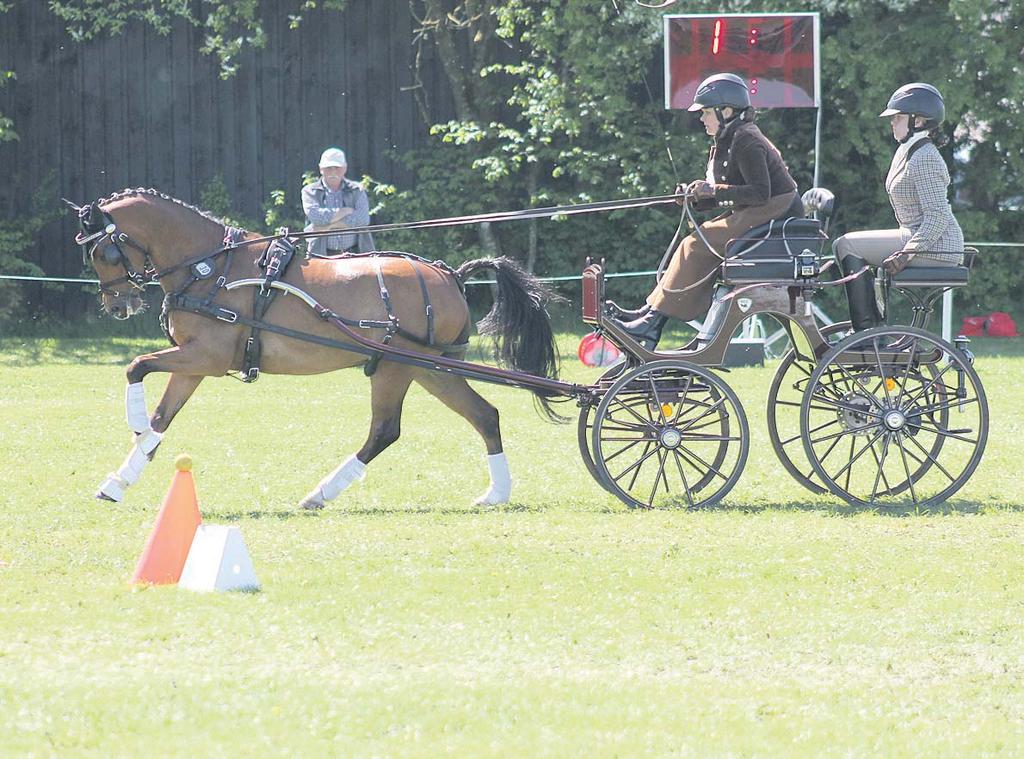 net itaidolla ammatt Tuulilasiasennukset ja -korjaukset GRAND PRIX Kansainvälinen EM-ravitapahtuma Kouvolassa la 16.6. klo 14 t UVVMJWJJSJU t UBLLBWÊMJOFFU t LVLLB BNQQFMJU t LZOUUFMJLÚU t MZIEZU 20 v.