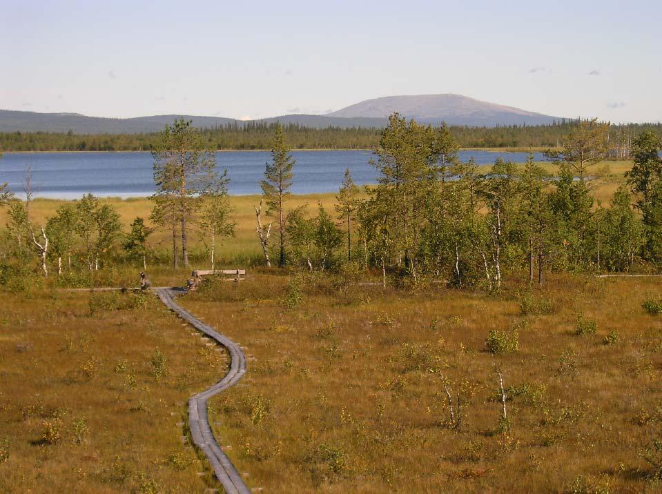 Teuravuoman Kivijärvenvuoman hoito- ja