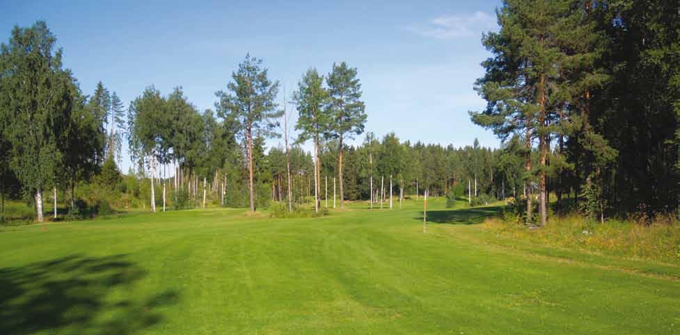 Käkigolf kenttien outolintu Hämeen sydänmailla Kentälle saapuvaa tervehtii näkymä kuutosväylälle. Käkigolfin kunto kestää hyvin vertailun maamme keskivertokenttiin.