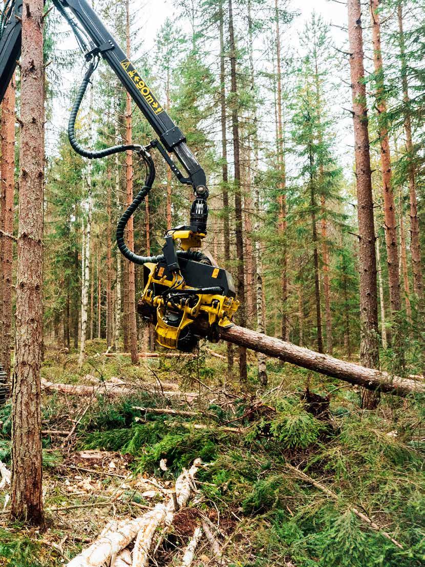 Exploatarea forestieră pe teren moale devine din ce în ce mai frecventă în Finlanda și în întreaga lume.