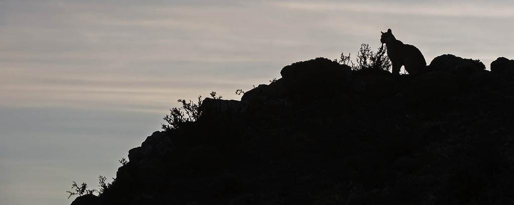 tomme lähteekin sitten vasta iltapäiväneljältä. Kentällä on paikallinen sotilaskoti, jonka pikaruoka-kahvilasta voimme lentoa odotellessa hakea vielä kevyttä lounasta ennen lentomatkaa.