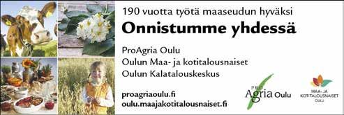 Siitä minut kututtiin sitten armeijaan 43 syksyllä ja palvelukseen piti mennä Nurmekseen asti. Siellä noheva poika joutui alokasajan jälkeen aliupseerikouluun.