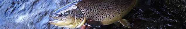 HUOPANANKOSKI Kalastusluvat - Fishing permit fees