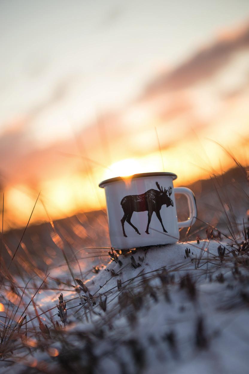 ENAMEL MUG - THE MOOSE 1330-037-04 +!