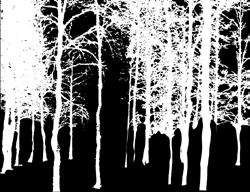CUTTING/SERVING BOARD - THE FOREST 15 x 40 cm 2330-1540-26 +!4;@;14"MJDIHI!