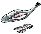 Selkäpuolelta avaaminen Täytettävät kookkaat kalat, kuten hauen ja kuhan, voit aukaista selkäpuolelta.