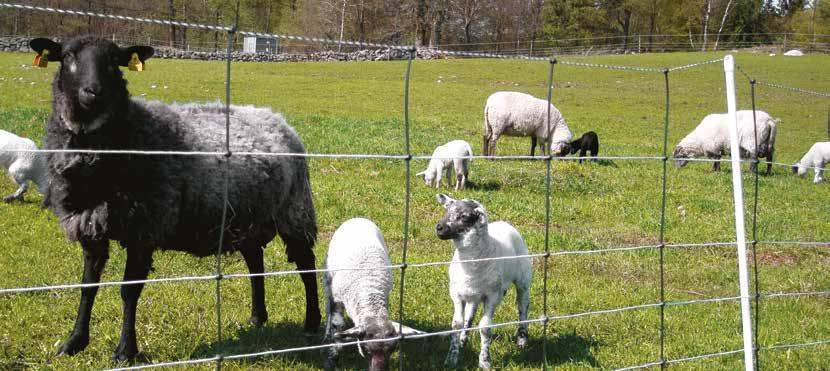 DeLaval lammasverkon erinomainen johtavuus ja tehokas pelotevaikutus pitävät lampaat ja vuohet aitauksen sisällä ja