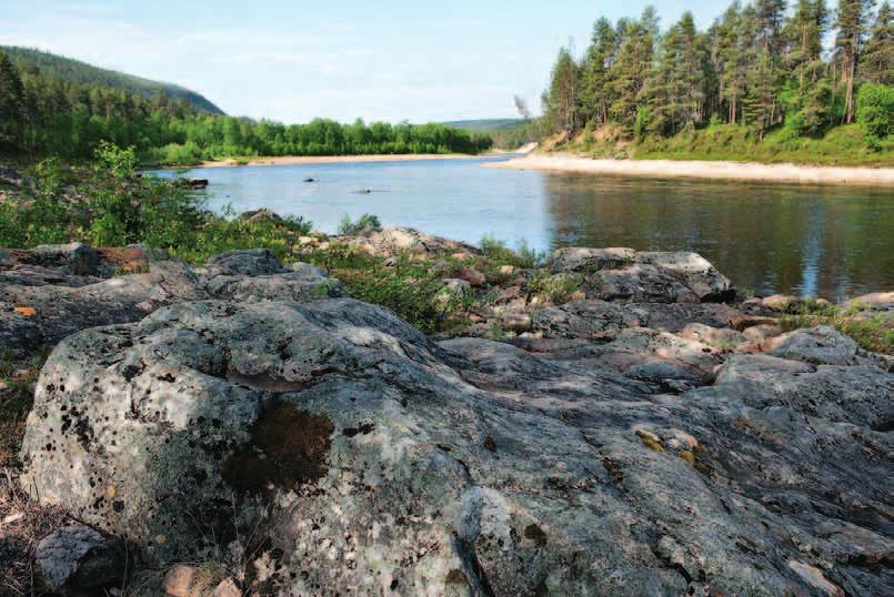 Syyskuun puolivälissä joukko pysähtyi Nulkkamukassa, jossa peruskallio nousee ensi kerran jokirannassa esille Palsitunturin juurella Louhiojan suun yläpuolella.
