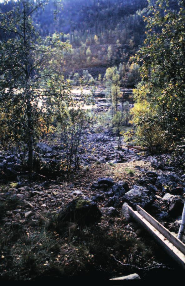 Miehet joutuivat tekemään ankarasti töitä päästäkseen rännittämään ja vaskaamaan kultamaata.