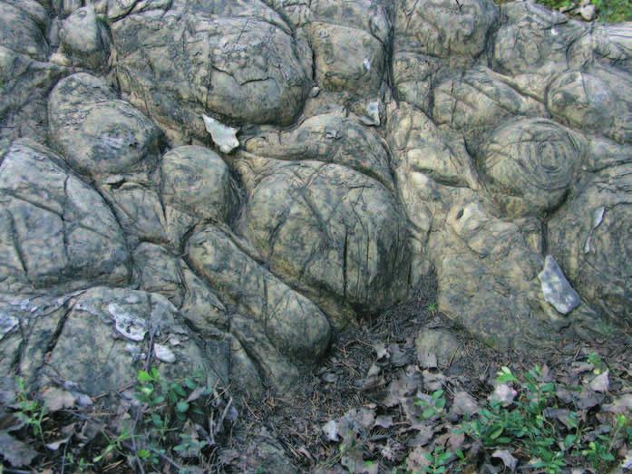 TAMPEREEN ARVOITUKSELLISET HIILISÄKIT Geologisen komission (nyk. Geologian tutkimuslaitos) johtaja J.