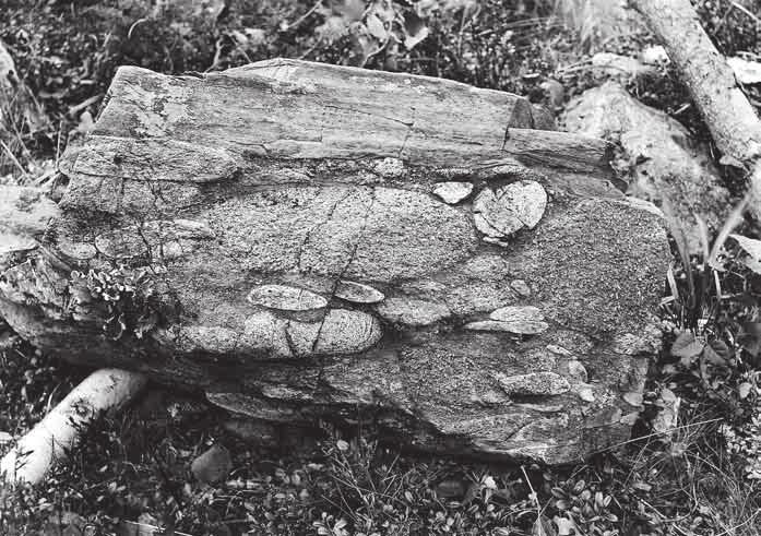 Geologian tutkimuksessa Skotlannilla ja Suomella on kunniakas historia.