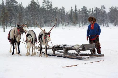 Sana ру сский tarkoittaa venäläistä ihmistä, mutta se on myös adjektiivi. Sitä käytetään, kun puhutaan kansallisuudesta, kielestä ja kulttuurista.