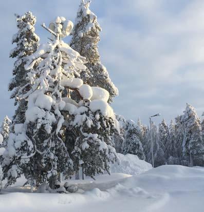 9 SF-C YT-KASI 2018 Mietteitä Mellajärveltä 2017 Niinhän se taas uusivuosi vaihtui ja suunniteltuja töitä päästään taas aloittelemaan.