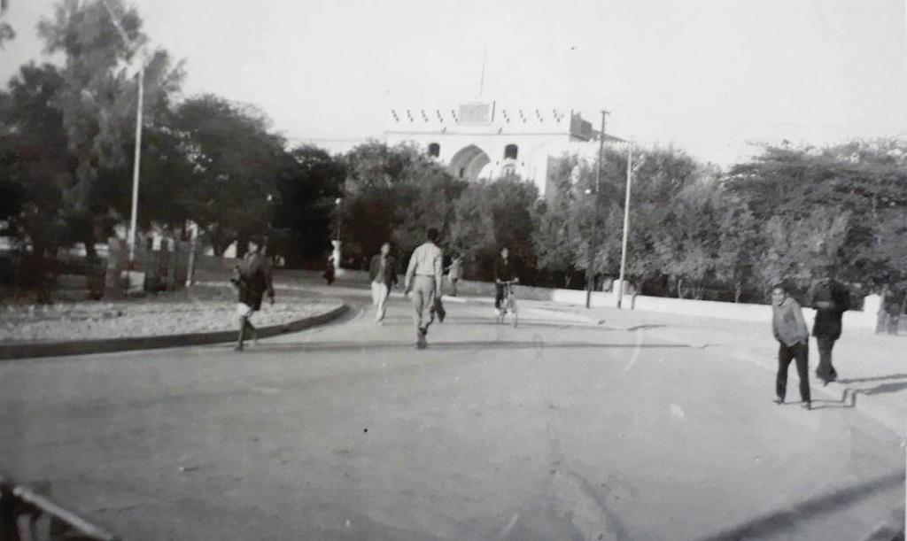 را با قالی تزیین کرده بودند. مانند وقتی که دیوار ژاندارمی زادگاهم را برای جشن دیربندی می کردند.