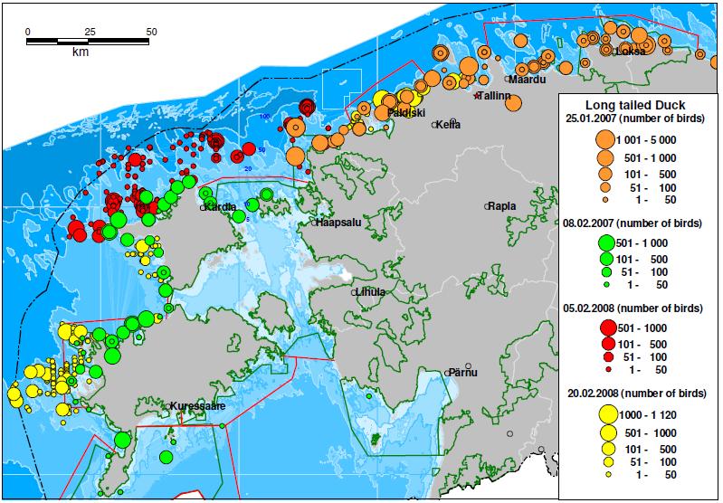 Pakrineeme Sadama OÜ Paldiski LNG terminali kai ehitamise vee erikasutusloa KMH 47 Joonis 27. Auli talvine levik ja arvukus 2007 ja 2008. aasta talvel Eesti rannikumeres.