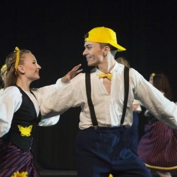 kansantanssiteokset. Se tarjoaa koulutusta, konsertteja, kohtaamisia ja elämyksiä.