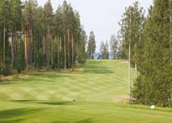 suomengolfseniorit.fi Vastaava päätoimittaja Pertti Raimiala puh. 0400 987 173 Päätoimittaja Ole Johansson puh. 040 746 2626 Ulkoasu Ole Johansson Ecsad Advertising puh.