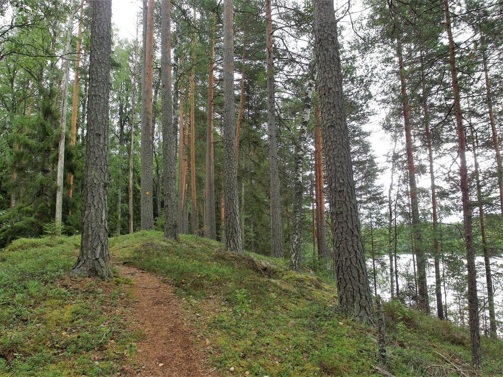 11. Pääjärvi, Hämeenlinna Härkätie 1127 14300 Hämeenlinna 4,5 km 1,5 h Path goes in a