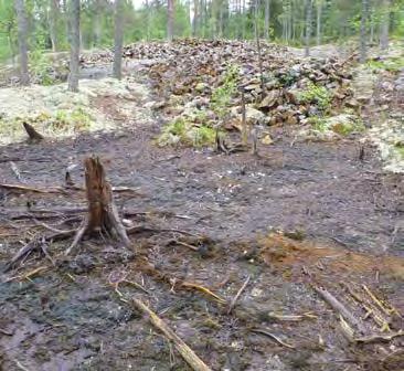 peitossa. Oja levenee rantaa kohden rautasakan täyttämäksi suistomaaksi (Kuva 55). Kivikasojen ympärillä, missä valumavesiä ei kulje, ovat kalliokohoumat jäkälän peitossa ja kasvavat mäntyä.