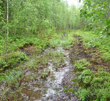 Maastomittausten perusteella niin louhosvedet kuin jätealueilta avo-ojaan valuvat vedet olivat osassa mittauskohteita erittäin happamia, ph 3,1 (Taulukko 27).