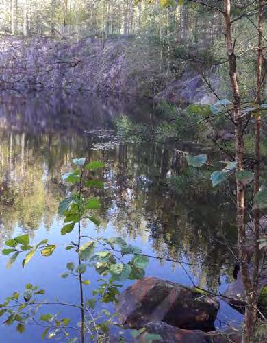 Kuivuuden vuoksi sivukivikasan alapuoliselta alueelta ei paikallistettu valumavesien kulku-uomaa.
