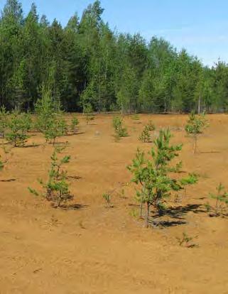 0,02 Mt) on ilmeisesti joko louhostäyttönä tai käytetty maarakentamisessa. Lähteet: Puustinen 2003 4.15.