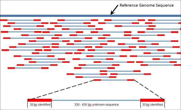 Kuinka iso on ihmisen genomi? 1. 3 miljardia kirjainta x 2, muutettuna biteiksi ~715Mb 2.