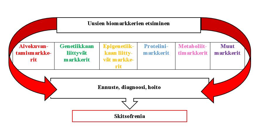 22 kasvutekijämarkkeriin (BDNF), inflammaatio- ja immuunitoimintaan liittyviin markkereihin, neurokemiaan liittyviin markkereihin, oksidatiivisen stressin vasteeseen ja metaboliaan liittyviin