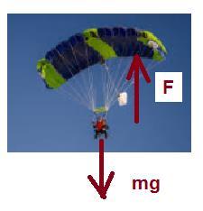 Esim. Laskuvarjon ala on 40 m. Millä nopeudella 80 kg painoinen hyppääjä putoaa lennon loppuvaiheessa Varjon auettua alkaa nopeasti tasainen putoaminen, jolloin 1 c w w Av mg v mg 809.81 m 4. c A 1.