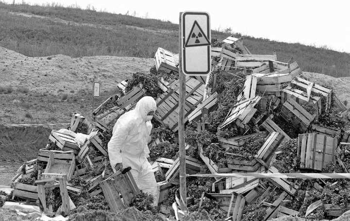 Vakarų Vokietijos ūkininkas naikina derlių, galimai apkrėstą po Černobylio katastrofos. Tačiau radiologinių avarijų SSRS būta ir iki tol. 2017 m. Nr.