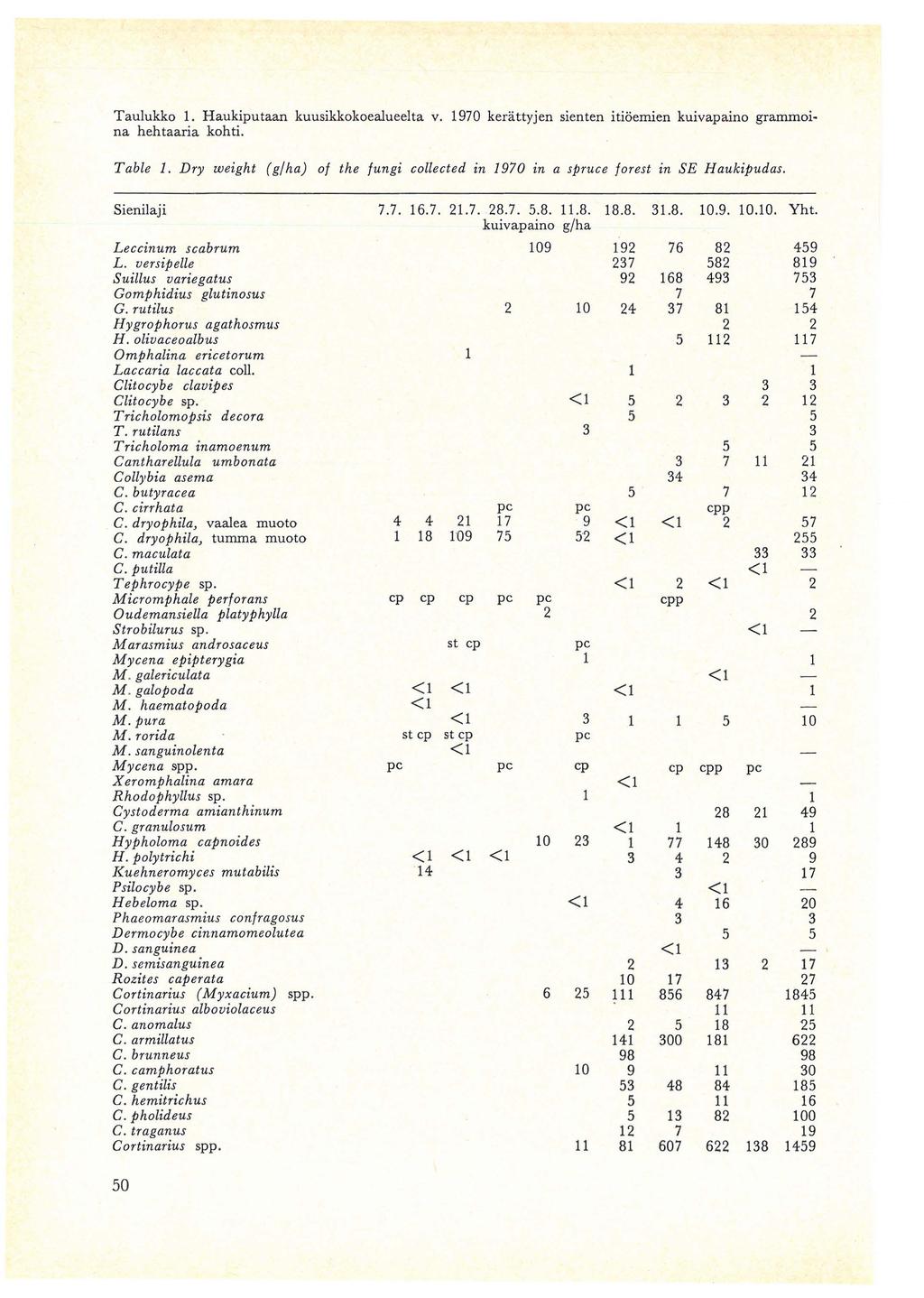 Taulukko 1. Haukiputaan kuusikkokoealueelta v. 1970 kerattyjen sienten itioemien kuivapaino grammoina hehtaaria kohti. Table 1.