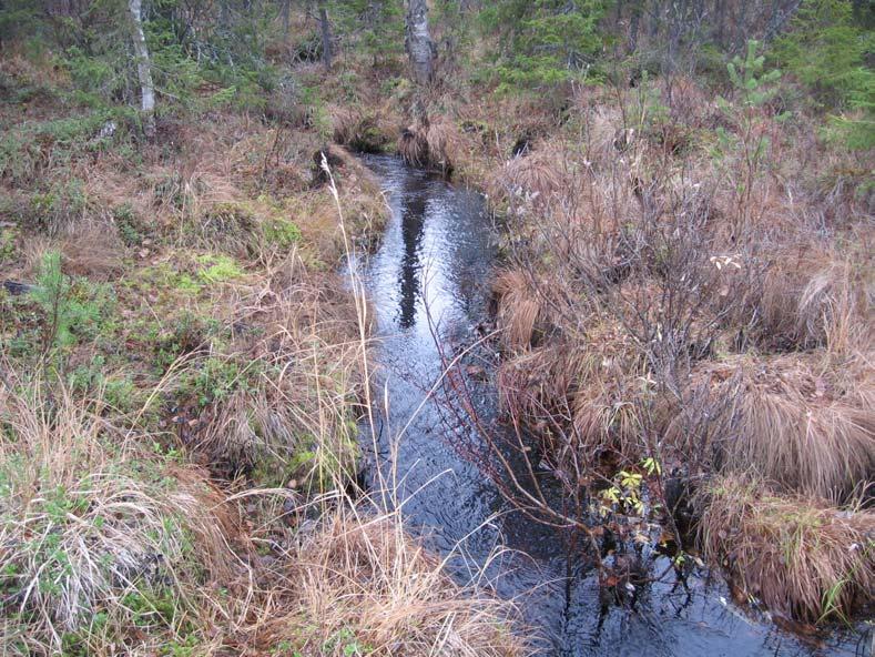 Kylmänmaanoja 6.